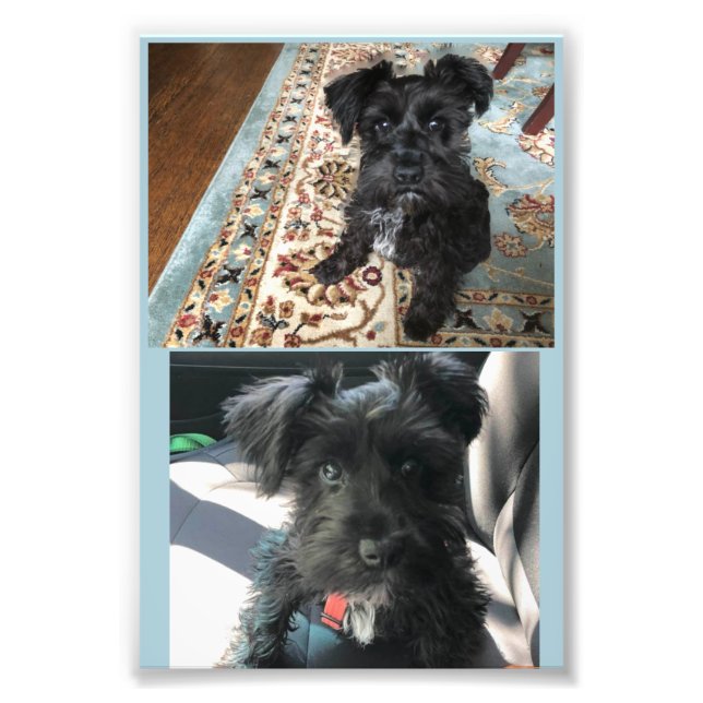 Papier photo professionnel Kodak (Satin) (Devant)