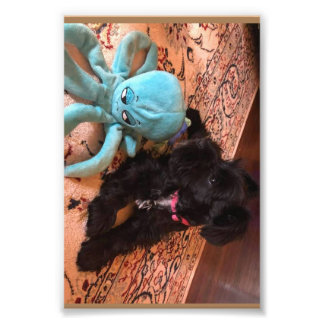 Papier photo professionnel Kodak (Satin)