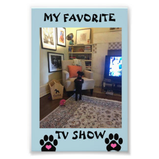 Papier photo professionnel Kodak (Satin)