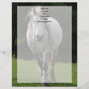 Papier Photographie de poney mignon