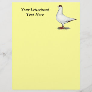 Papier Pigeon Casque Hollandais