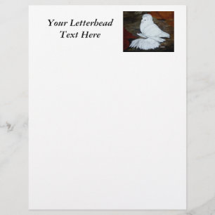 Papier Pigeon Trompette Anglais Blanc