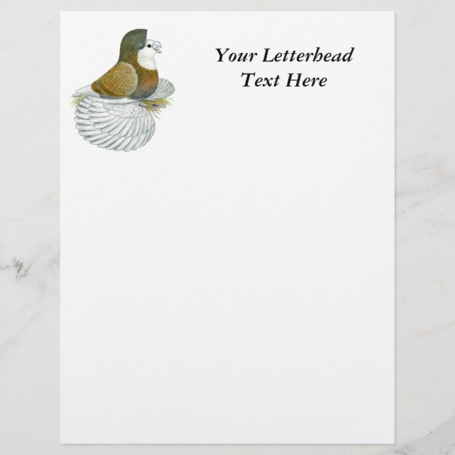 Papier Pigeon Trompette AOC Baldhead (Devant)