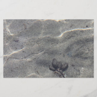 Papier Pinecones dans l'eau