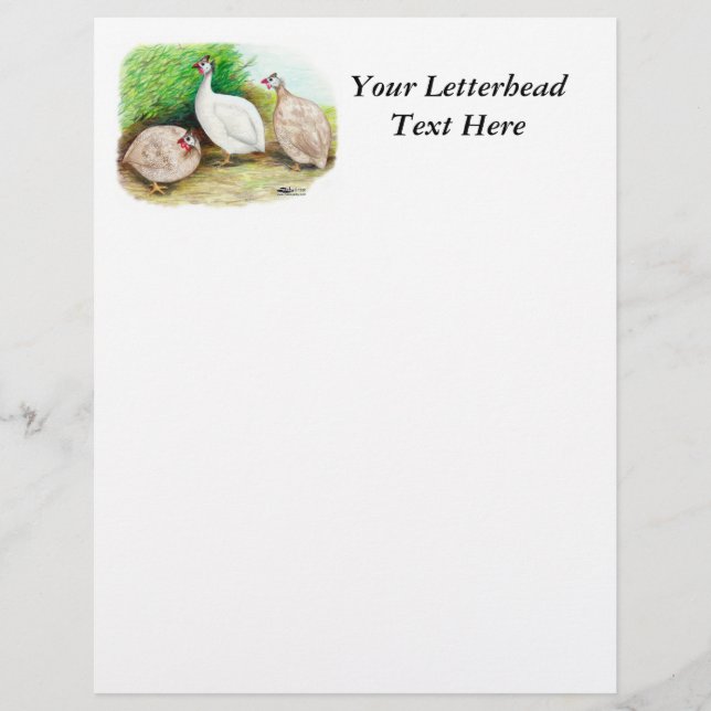 Papier Pintade à l'extérieur (Devant)