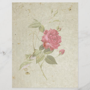 Papier plat Rose vintage de 8,5 po x 11 po