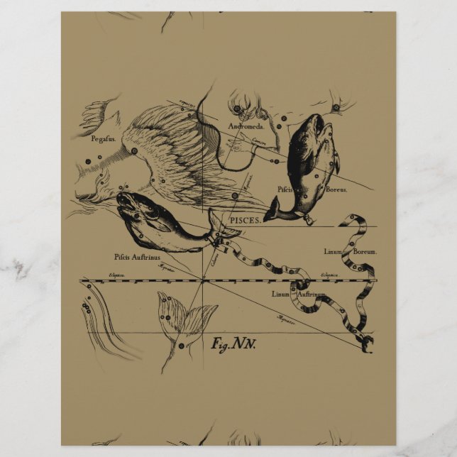 Papier Poissons Constellation Hevelius 1690 Décor (Devant)