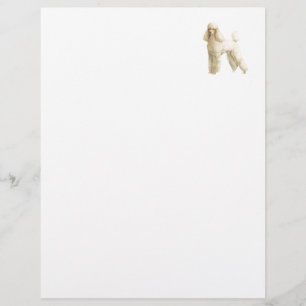Papier Poodle -- Coupe chiot