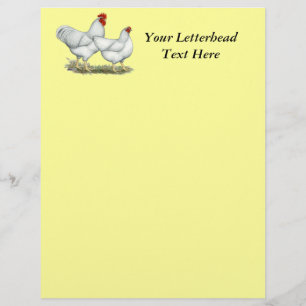 Papier Poulets blancs