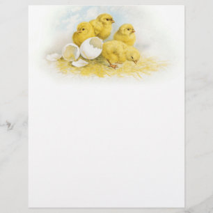 Papier Poulets vintages pour bébés