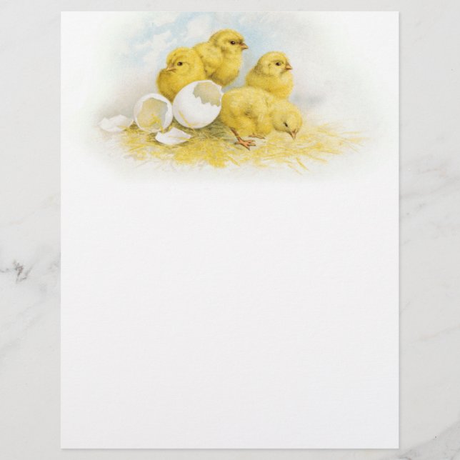 Papier Poulets vintages pour bébés (Devant)
