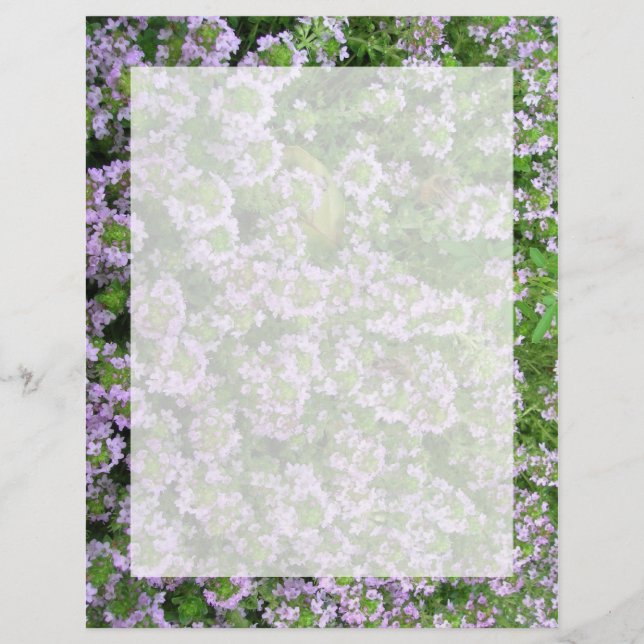 Papier Purple thym (Devant)