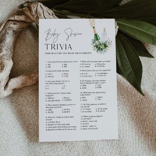 Papier REMY Baby Trivia Baby shower Jeu - Bouteilles Popp