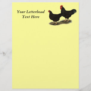 Papier Rhode Island Red Bantam