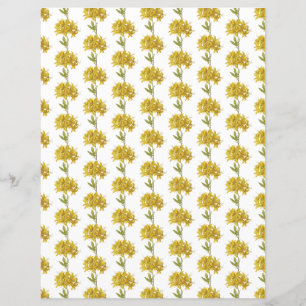 Papier Rhododendron luteum (Azalée Pontique)