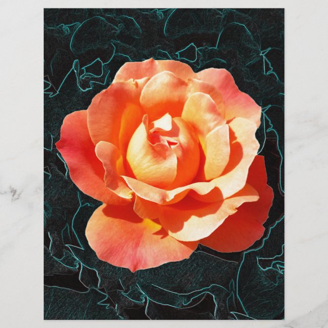 Papier Rose orange clair (Devant)