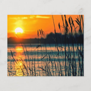Papier Roseaux en arrière-plan de scrapbook au coucher du
