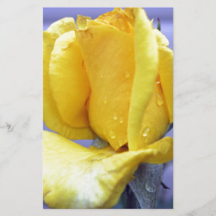 Papier Roseraie jaune