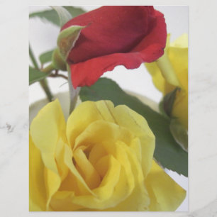 Papier Roses jaunes et rouges