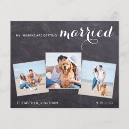 Papier Rustic Chien Mariage 3 Budget Photo Enregistrer La