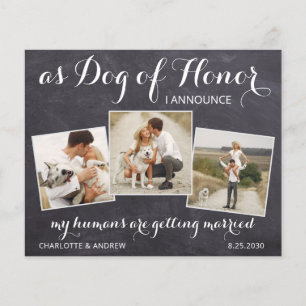 Papier Rustic Pet Chien Photo Budget Mariage Enregistrer 