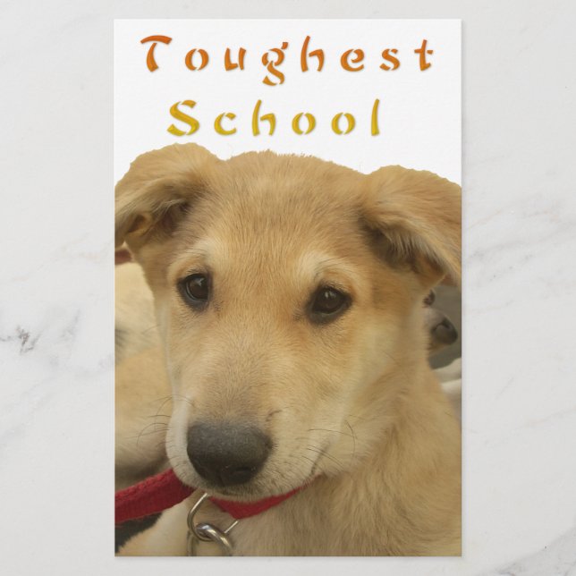 Papier Sagesse d'or : Une vision oeil de chien de l'école (Devant)