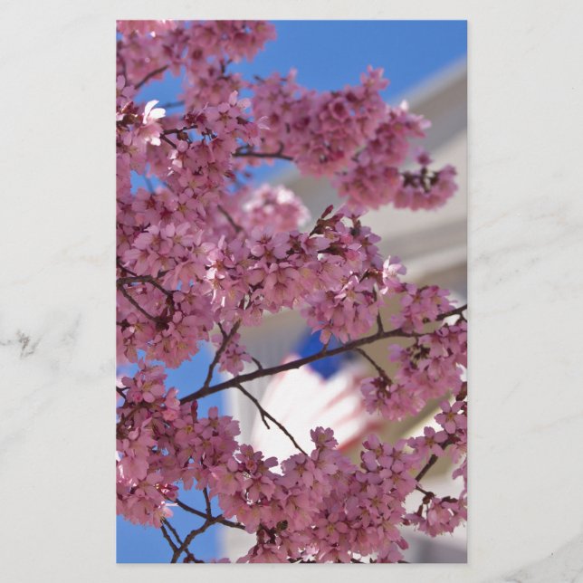 Papier Sakura Cherry Blossoms (Devant)