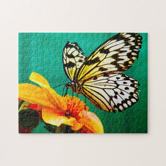 Papier-Schmetterling. (Horizontal)