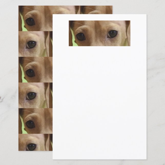 papier scrapbook chien de basset crème yeux (Devant / Derrière)