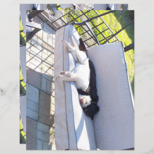 Papier scrapbook de sommeil du groupe de laboratoire