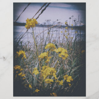 papier scrapbook feuille de fleurs de birchbay