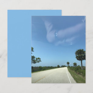 Papier scrapbook Palmiers sur Route Floride Blue S