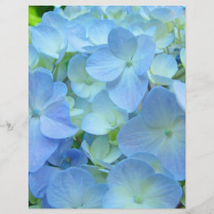 Papier scrapbooking Floral Thème Blue Hydrangeas