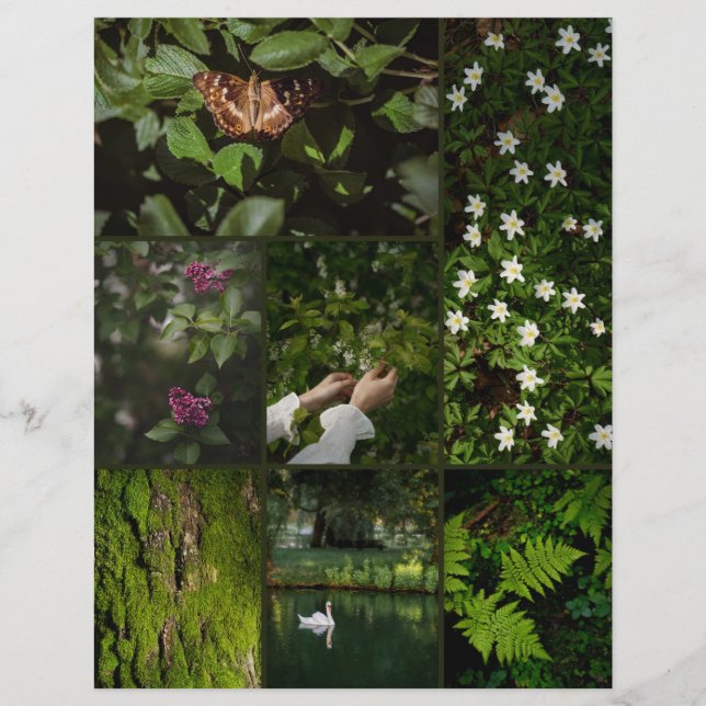 Papier scrapbooking Nature Core Vert Foncé (Devant)