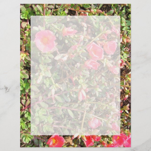 Papier Sédum (Devant)