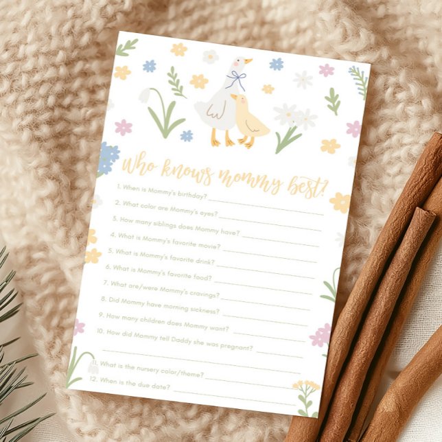 Papier Silly Goose Gingham Baby Shower Who Knows Game (Silly Goose Baby Shower Game)