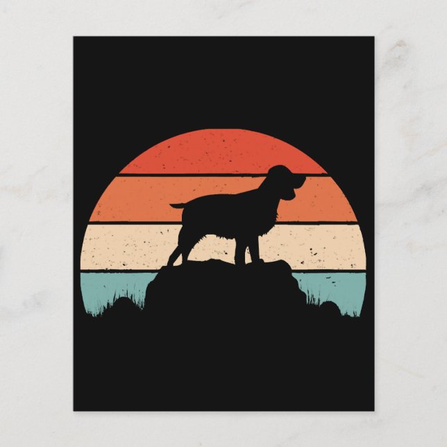 Papier Springer spaniel anglais (Devant)