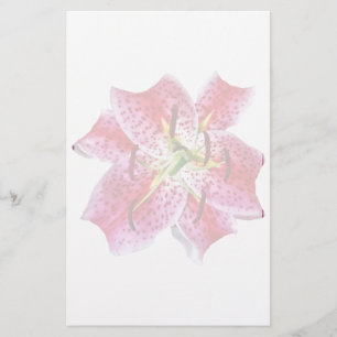 Papier Stargazer Lily Closeup