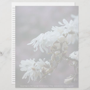 Papier Starry Magnolia