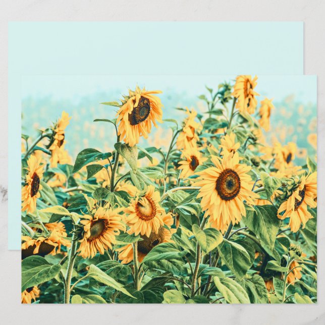 Papier Sunflower Field Jaune Découpage Turquoise Art flor (Devant / Derrière)