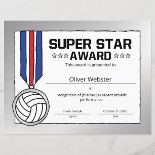 Papier Super Star Volleyball Player Award