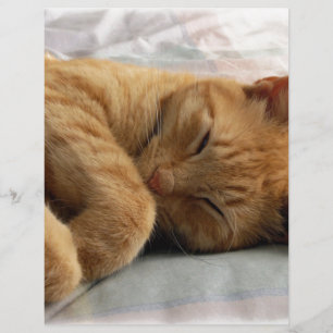 Papier Sweet Dreams