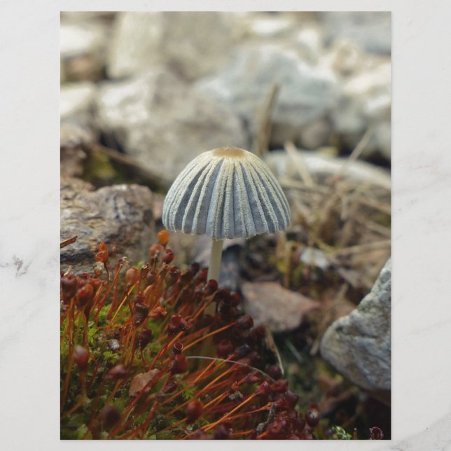 Papier Tabouret minuscule (Devant)