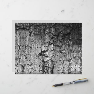 Papier Texture Grunge Noir Et Blanc Vintage Antique