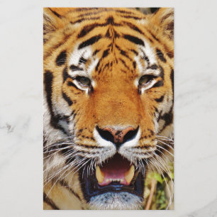 Papier Tigre
