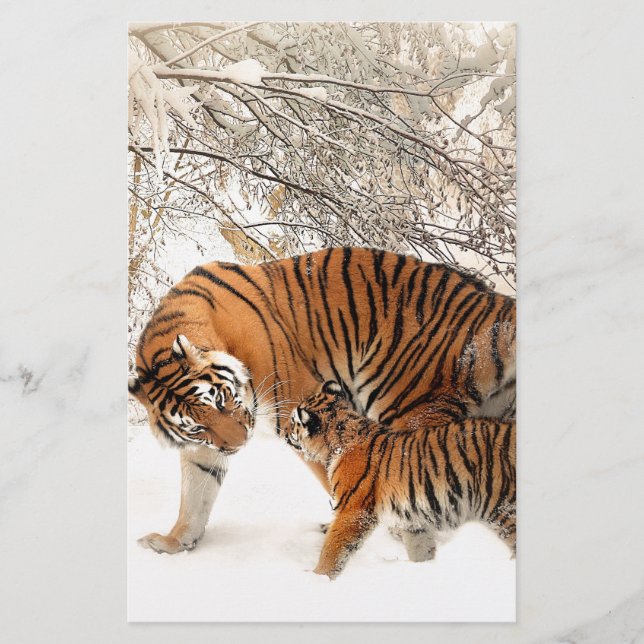 Papier Tigres dans la neige (Devant)