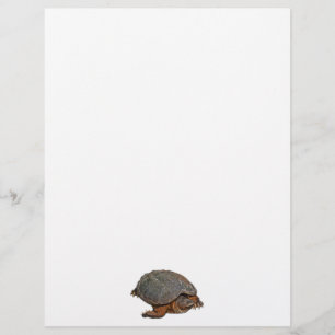 Papier Tortue serpentine Terrapin-lover Cadeau