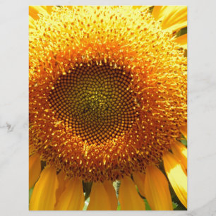 Papier Tournesol de mammouth jaune géant