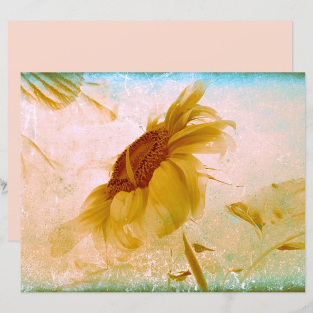 Papier Tournesol Sepia Vintage Texture d'antiquité (Devant / Derrière)
