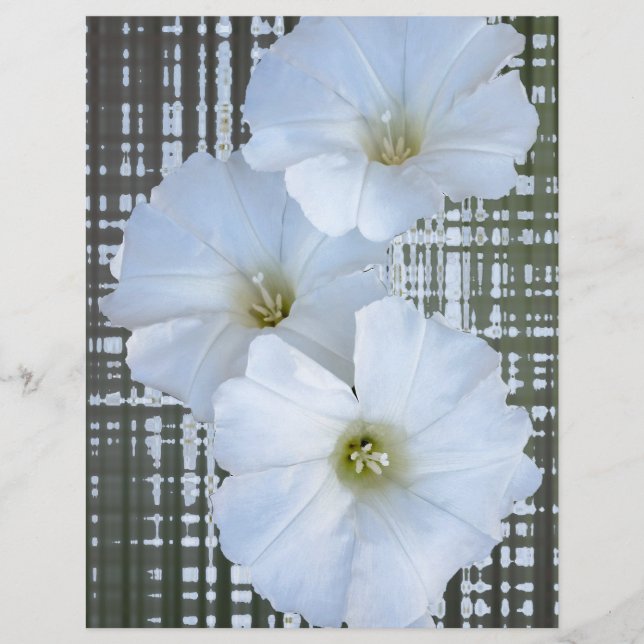 Papier trois fleurs blanches (Devant)